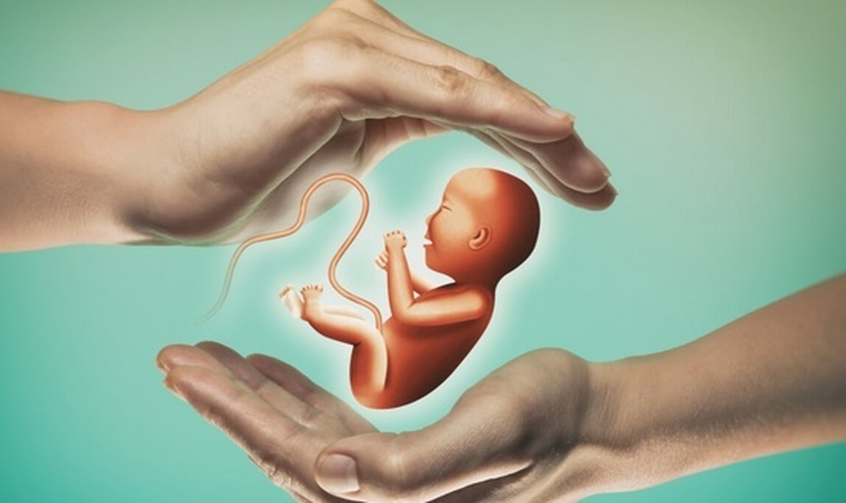 تحقیقات پژوهشگران برای افزایش میزان کاشت جنین