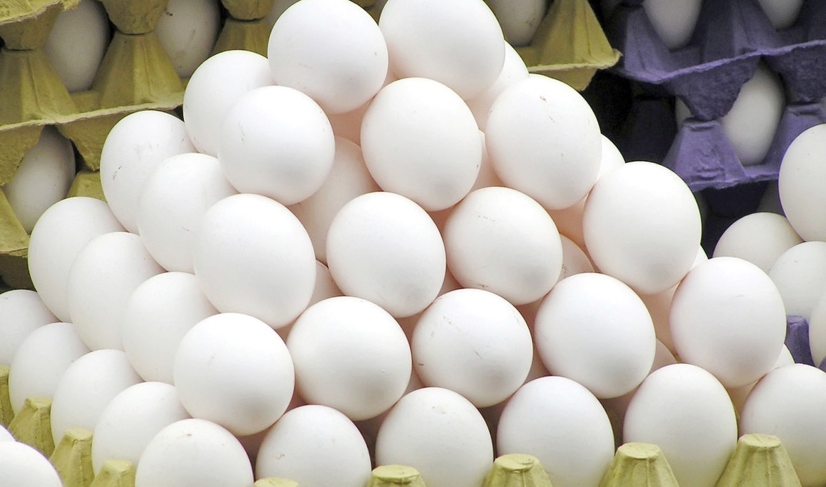 ارتقای رتبه جهانی ایران در تولید تخم‌مرغ