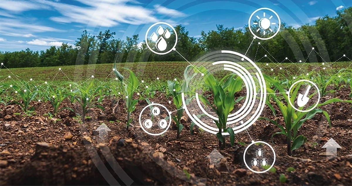 طراحی دستگاه هوشمند کشاورزی با استفاده از تکنیک‌های هوش مصنوعی