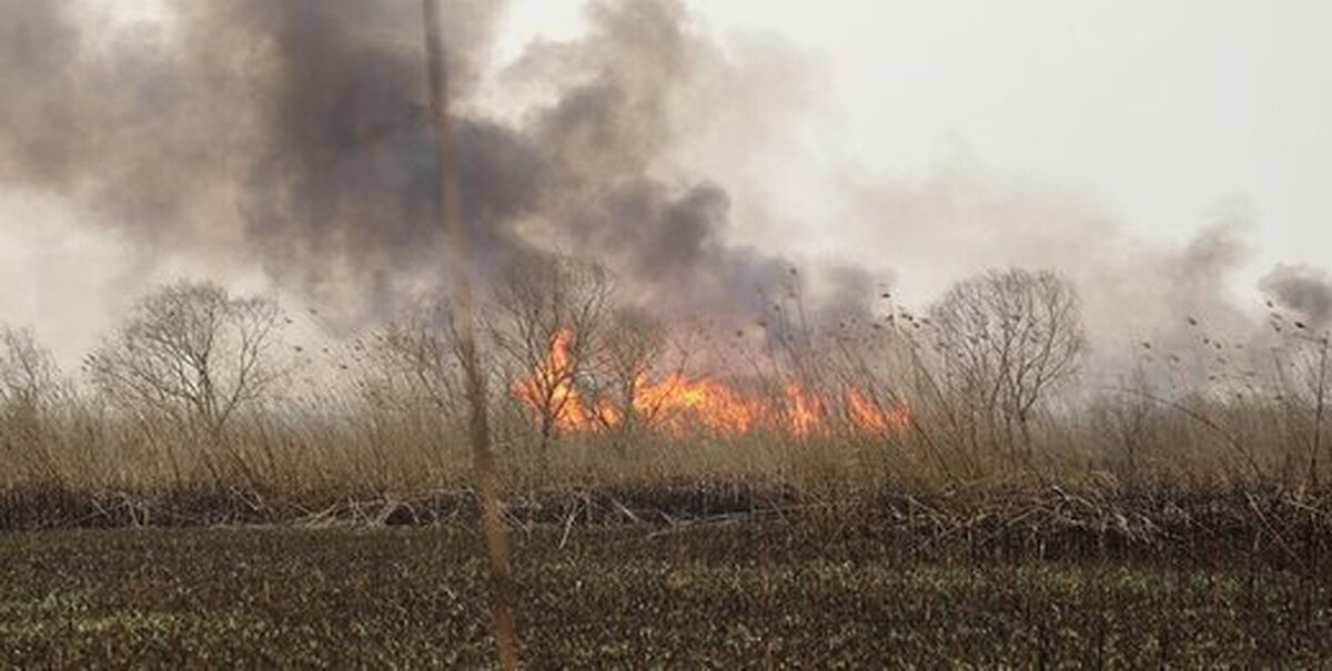 حرکت دود ناشی از آتش‌سوزی عراق به‌سوی خوزستان