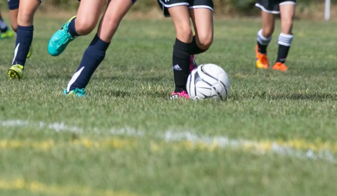 کنترل علفهای هرز در زمینهای بازی و چمنها بدون علفکش کنترل علفهای هرز در زمینهای بازی و چمنها بدون علفکش