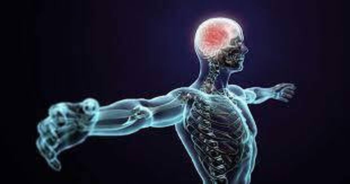عقل سالم در بدن سالم‏  شش‌ضعلی شناختی در جست‌وجوی مسئله ارتباط ذهن و بدن