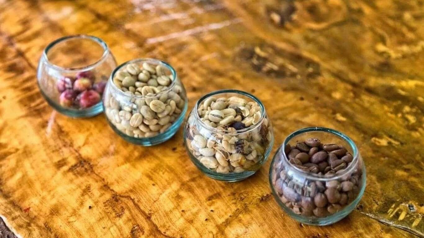 نکات موثر برای خرید قهوه نکات موثر برای خرید قهوه