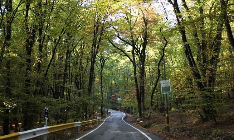 گرگان چه جا‌های دیدنی دارد؟