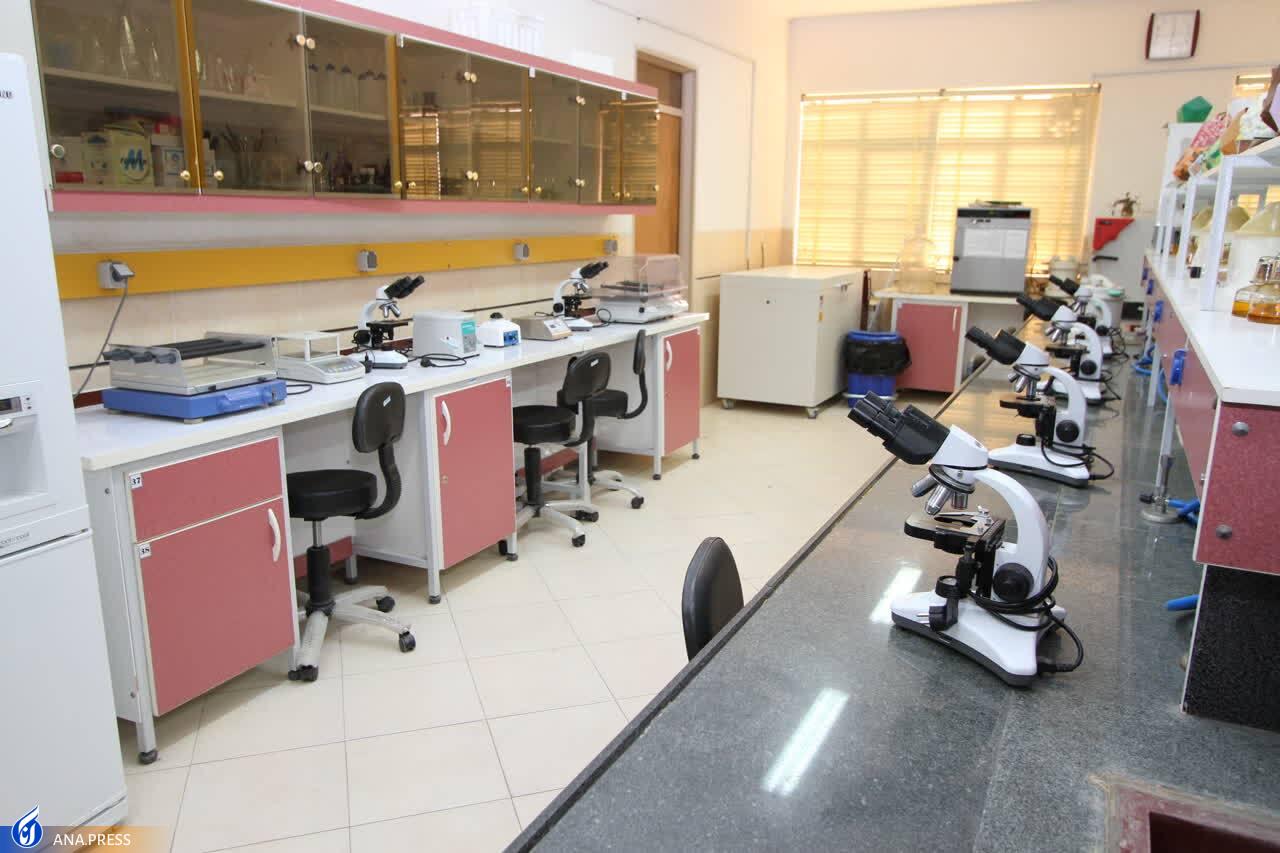 فعالیت ۸۰ باب آزمایشگاه و ۳ مرکز تحقیقاتی در دانشگاه آزاد شیراز