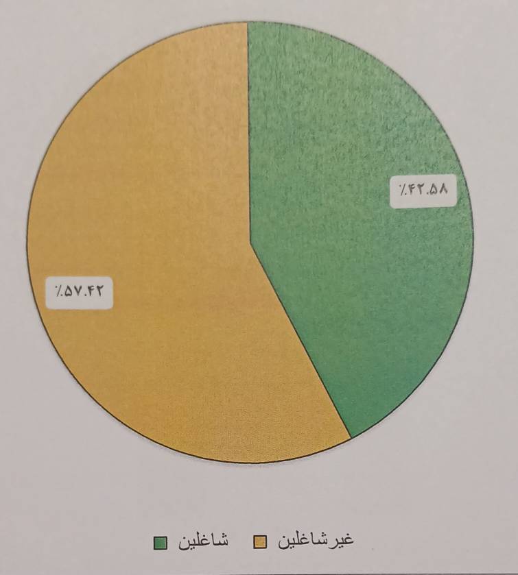اشتغال فارغ التحصیلان کدام رشتهها و دانشگاهها بیشترین و کمترین شانس اشتغال را دارند؟