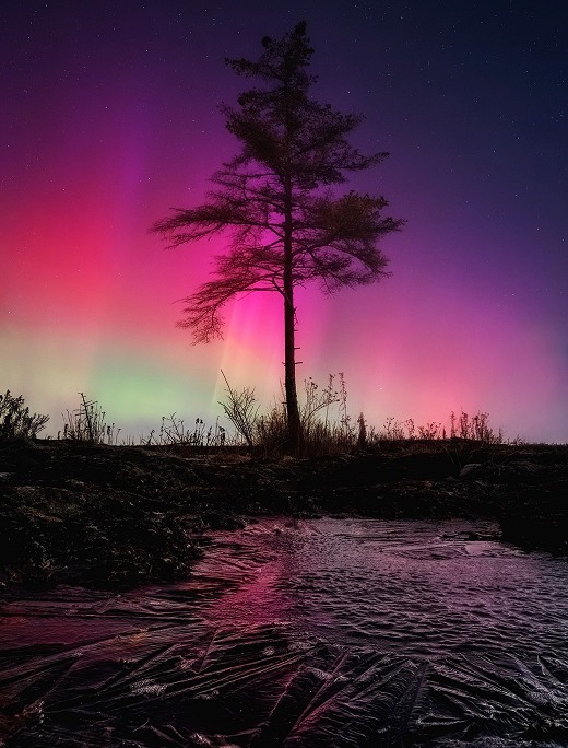 شفق قطبی، نورهای رنگارنگ در آسمان زمین