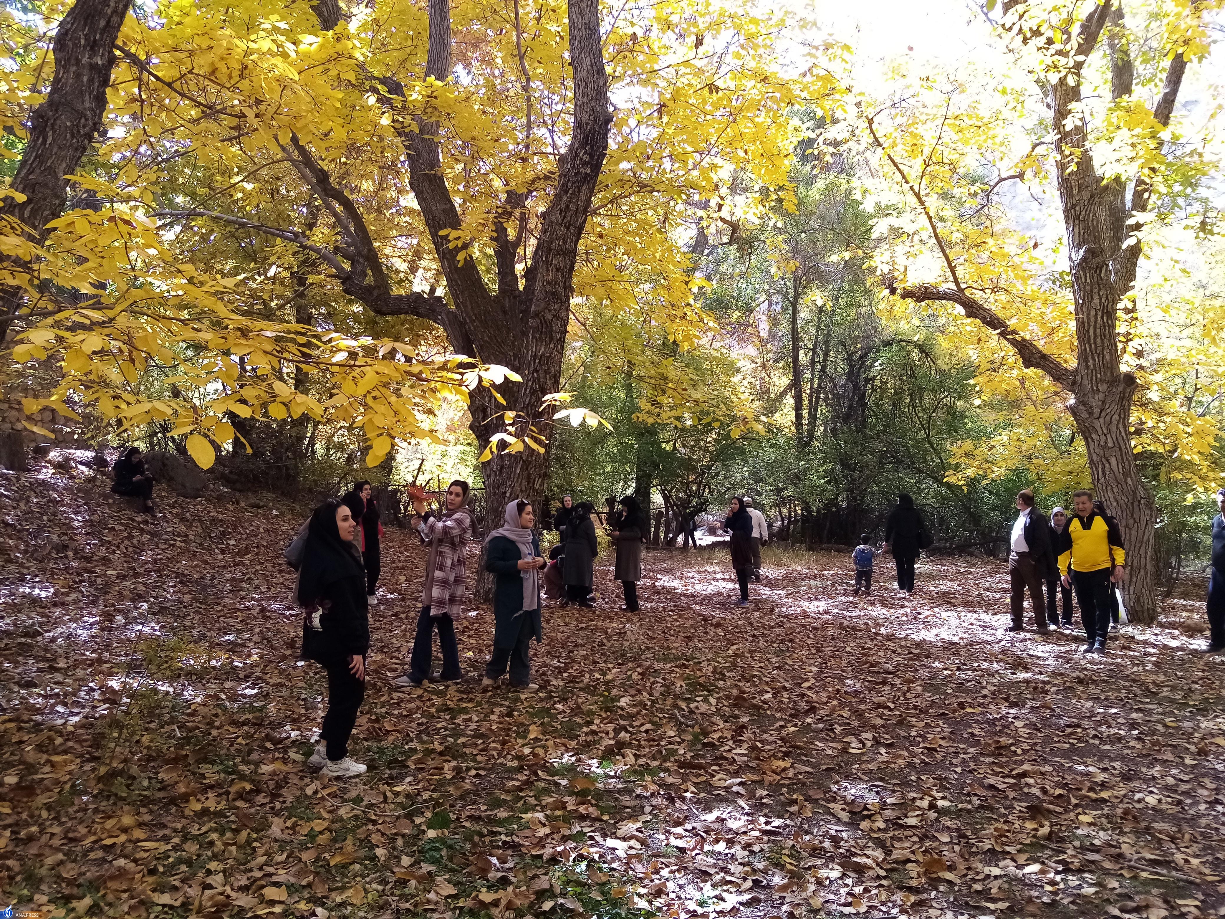 اعلام نتایج کامل مسابقات ورزش همگانی منطقه یک دانشگاه آزاد اسلامی اعلام نتایج کامل مسابقات ورزش همگانی منطقه یک دانشگاه آزاد اسلامی