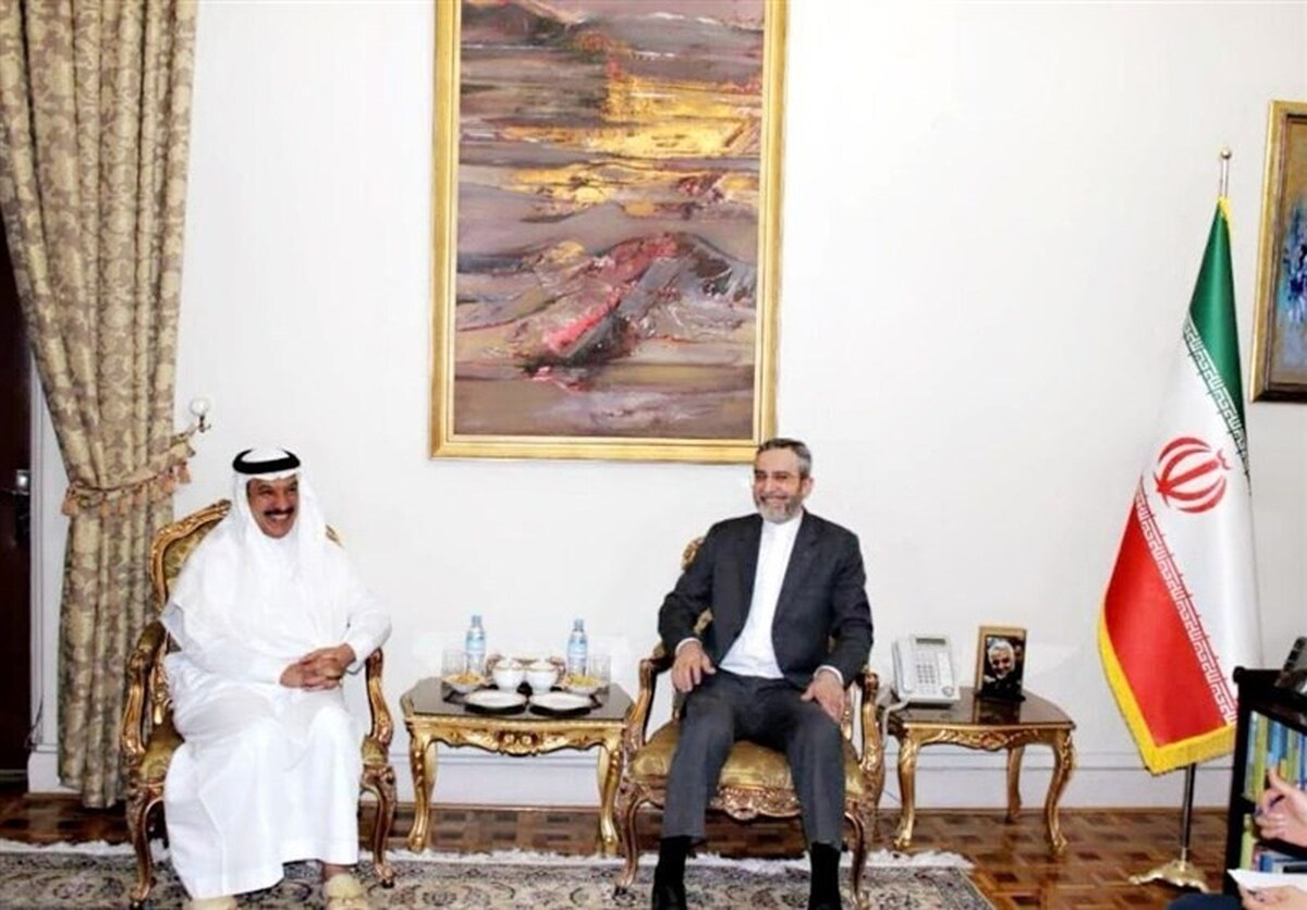 سفیر عربستان با علی باقری دیدار کرد