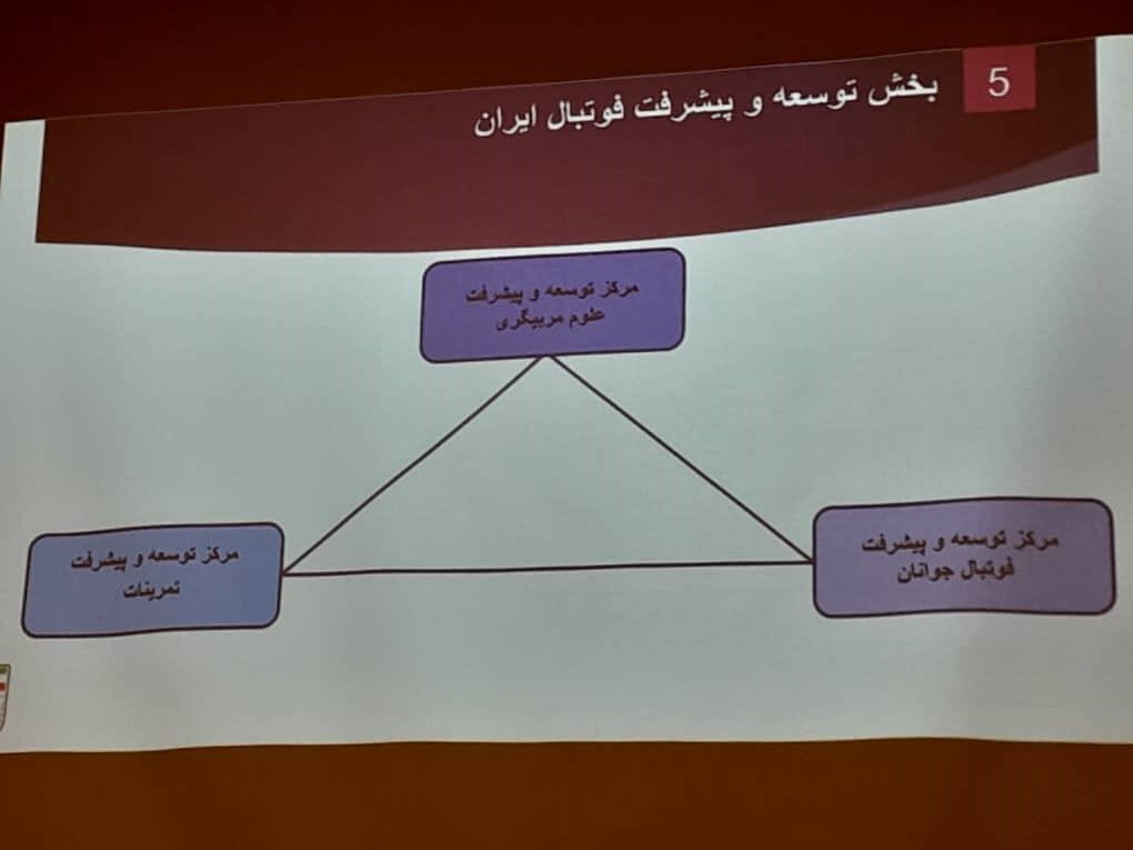 اساسنامه فدراسیون فوتبال در مورد تکنیکال دایرکتور چه می‌گوید؟/ماجدی: هیچ وقت چنین سطح از اختیاراتی در این سمت نداشتم