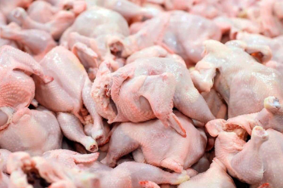معاون اتاق اصناف ایران: قیمت مرغ از ۲ هفته دیگر کاهشی می شود