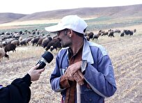 پخش ادامه «دومینو» پس از ۱۵ ماه/ مستندی که از فرهنگ سگ‌دوستی می‌گوید