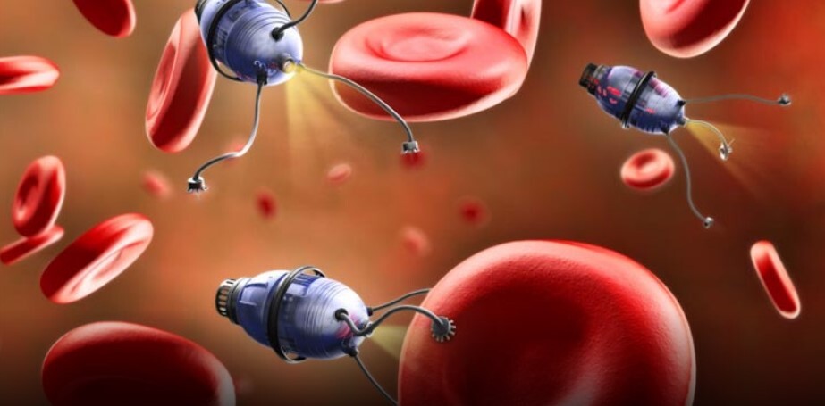 نودردد نودردد