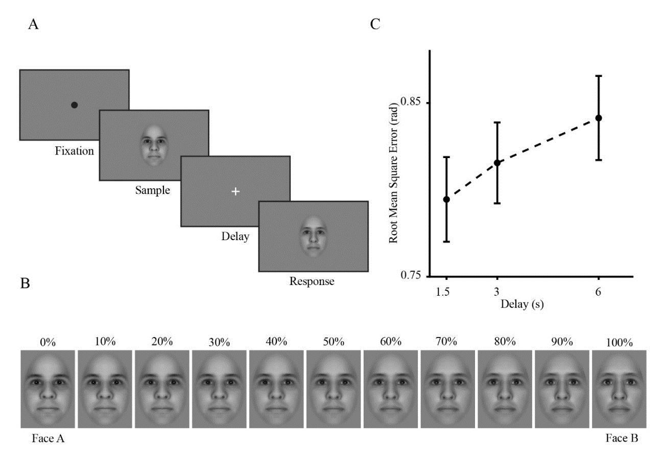 کهنسالی از دقت حافظه کوتاه‌مدت تصویری می‌کاهد