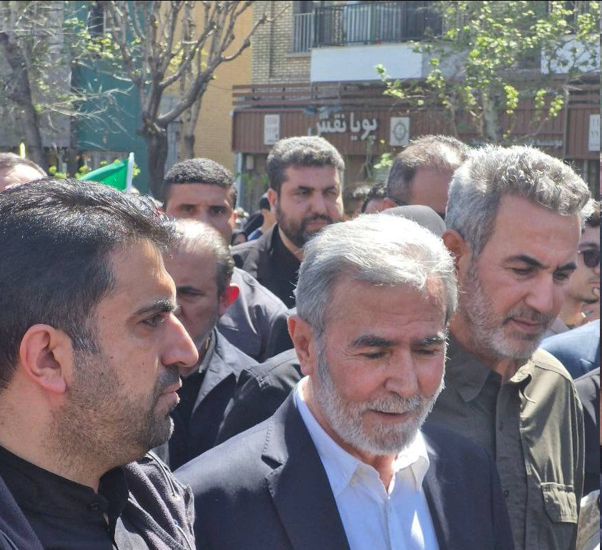 ایران در حمایت از غزه به پاخاست/ فلسطین تنها نیست ایران در حمایت از غزه به پاخاست/ فلسطین تنها نیست