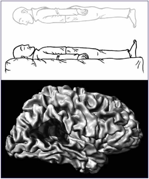 اسرار نوروبیولوژیک «تجربه نزدیک‌به‌مرگ»