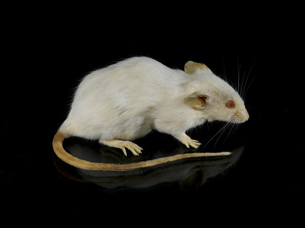 ۲۴ فروردین در دنیای علم چه خبر؟