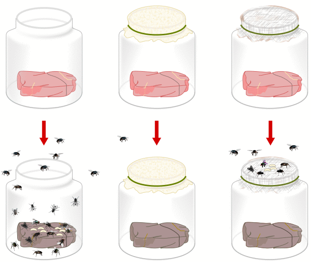 حکایت ۳.۸ میلیارد ساله زمین درباره حیات| همه‌چیز درباره پیدایش زندگی