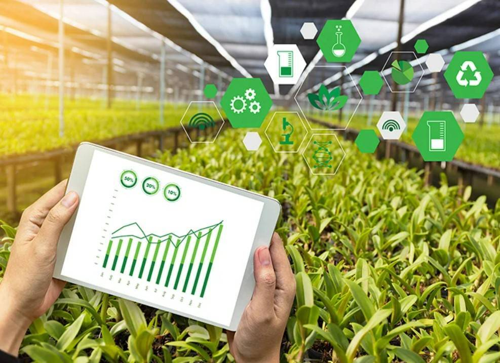 فناوری چگونه با کمبود غذا در جهان مقابله میکند/ معرفی ۱۰ روند و فناوری صنعت کشاورزی فناوری چگونه با کمبود غذا در جهان مقابله میکند/ معرفی ۱۰ روند و فناوری صنعت کشاورزی