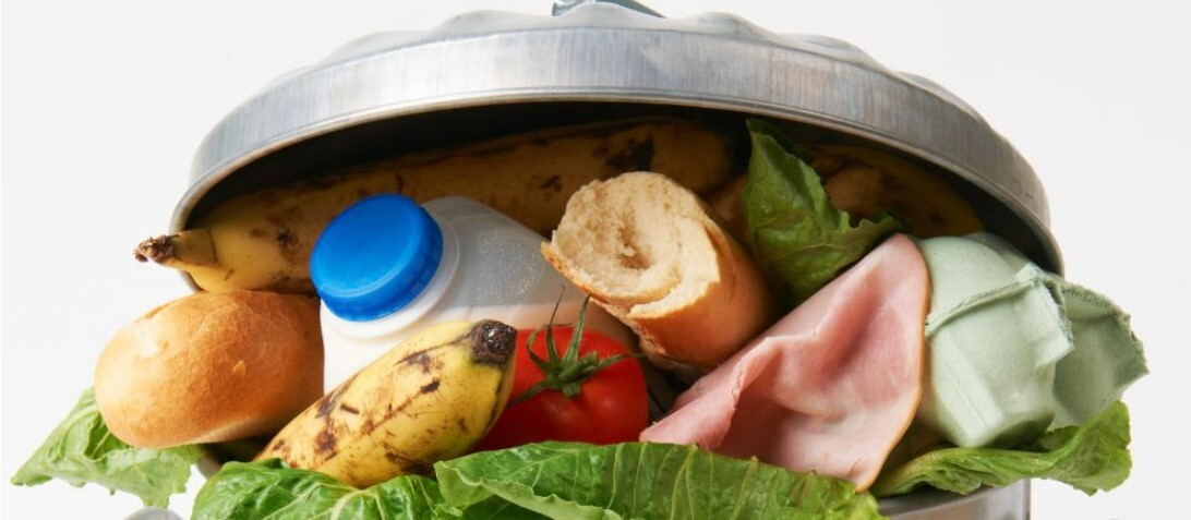 معرفی ۱۰ فناوری برتر مواد غذایی/ نوآوری‌هایی که غذا را از مرزعه به سفر می‌آورند