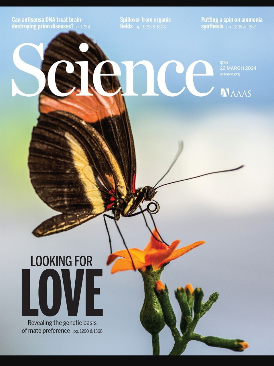 هفته چهارم مارس؛ از داستان سیاره‌خواران فضایی تا قابلیت‌های درخشان هوش مصنوعی