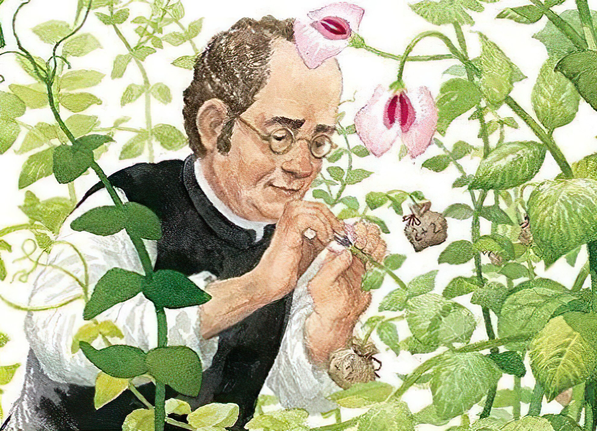 ۱۷ دی در دنیای علم چه خبر؟