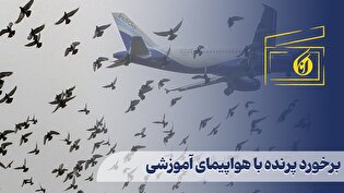 برخورد پرنده با هواپیمای آموزشی