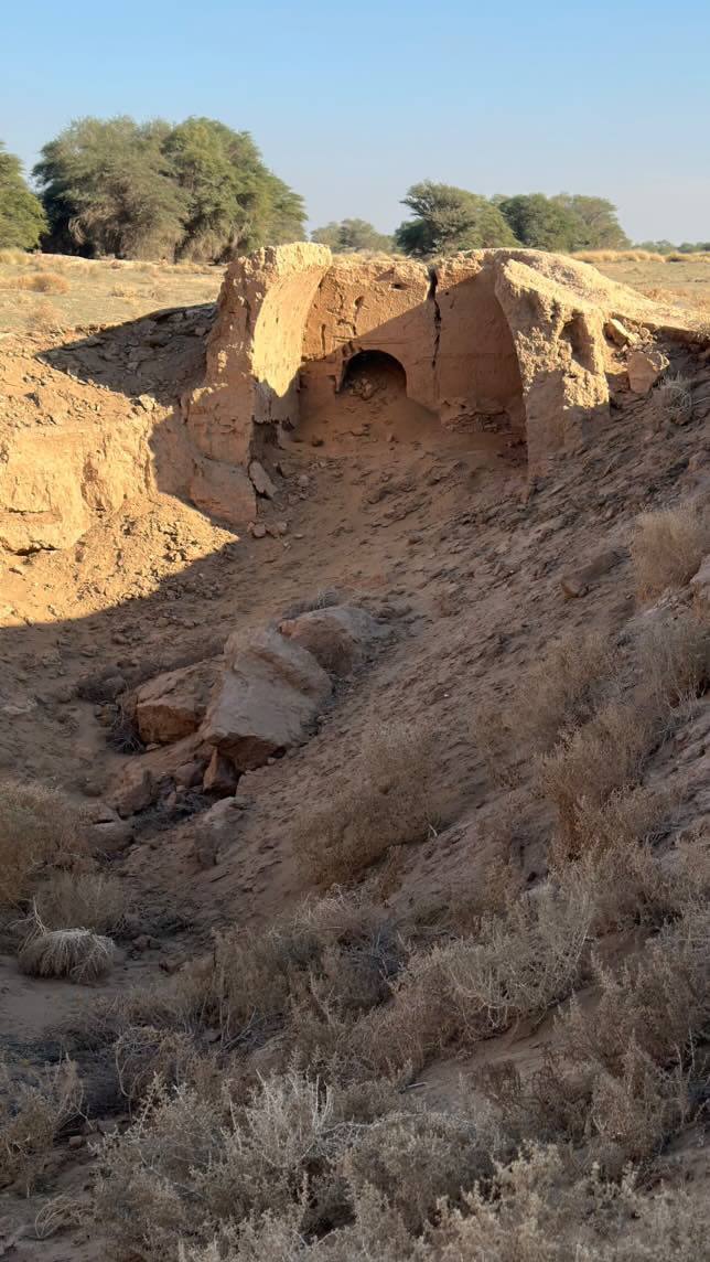 حفاری&zwnj;های غیر مجاز در منطقه تاریخی بُستان+ عکس