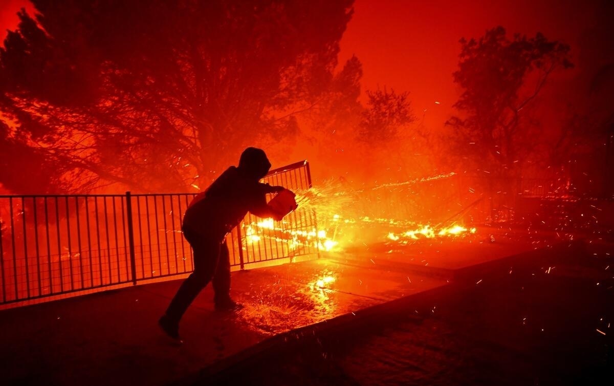 از پیام بی ادبانه ترامپ برای فرماندار کالیفرنیا تا گریه بازیگر هالیوودی حامی اسرائیل به دلیل سوختن خانه اش +فیلم و عکس