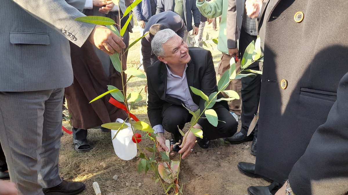 پویش کاشت یک‌هزار نهال در دانشگاه آزاد مسجدسلیمان