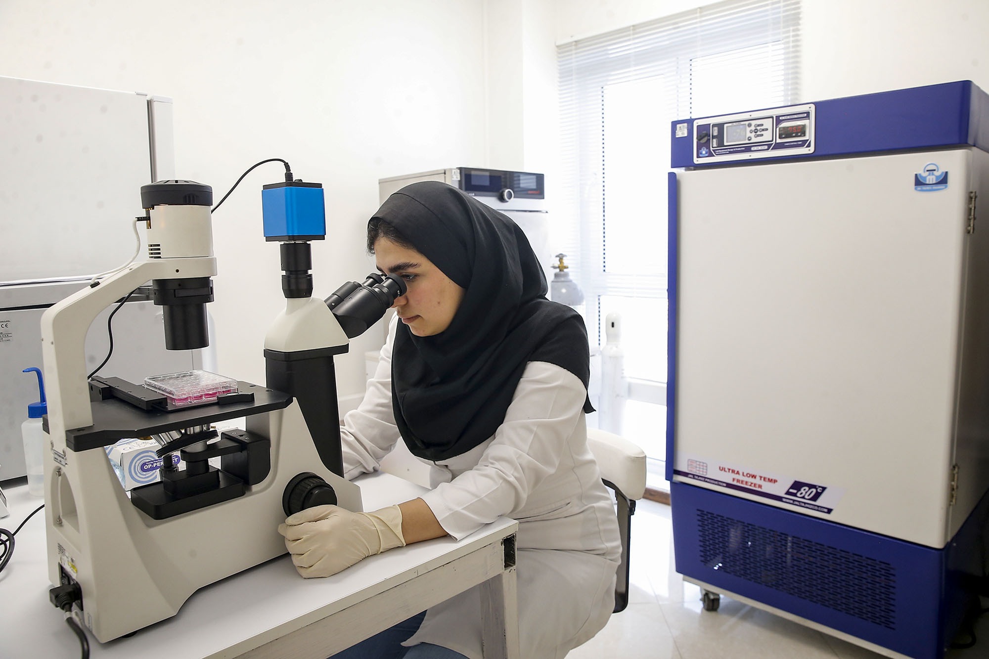 بی نیازی کشور از واردات با تولید محصولات تشخیصی و درمانی/ درمان سرطانها به کمک دانش بنیانها بی نیازی کشور از واردات با تولید محصولات تشخیصی و درمانی/ درمان سرطانها به کمک دانش بنیانها