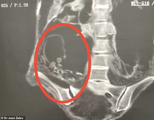 مومیاییهای مرموز پرو: فریب علمی یا کشفی بیسابقه؟ مومیاییهای مرموز پرو: فریب علمی یا کشفی بیسابقه؟