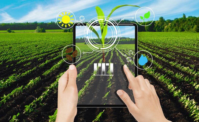 سیر تا پیاز هوشمندسازی کشاورزی سیر تا پیاز هوشمندسازی کشاورزی