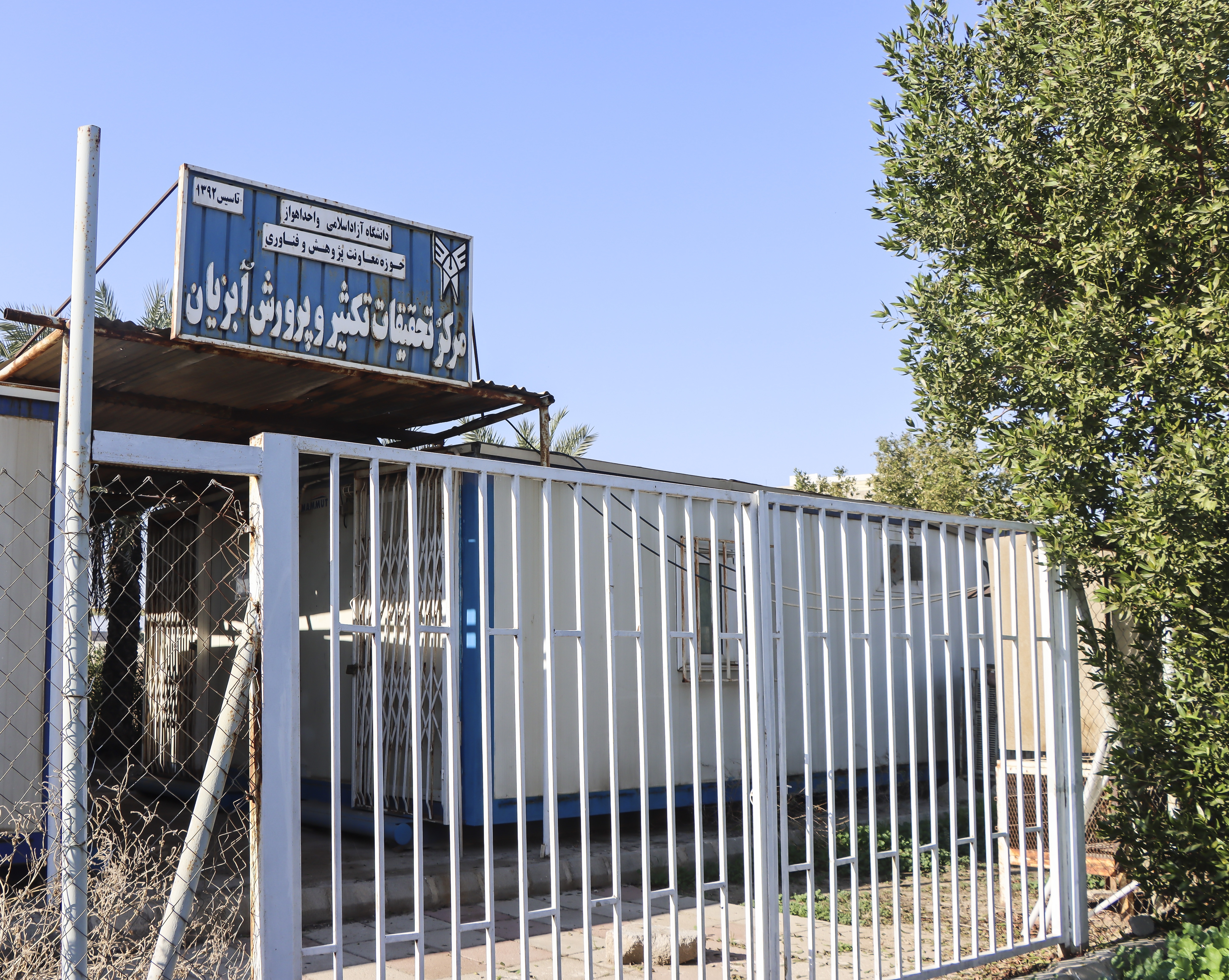 تبدیل دانشگاه آزاد اهواز به قطب ماهیان زینتی غرب کشور؛ طرح درآمدزای جدید با سرمایه یک میلیارد تومانی کلید خورد تبدیل دانشگاه آزاد اهواز به قطب ماهیان زینتی غرب کشور؛ طرح درآمدزای جدید با سرمایه یک میلیارد تومانی کلید خورد