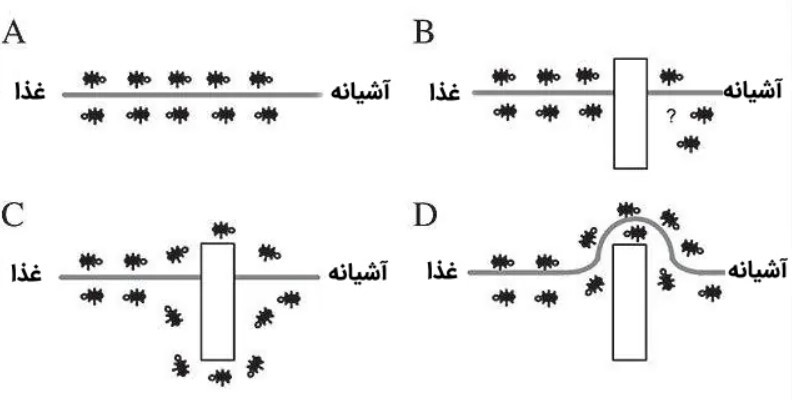 هوش مصنوعی، فرزند الگوریتمها هوش مصنوعی، فرزند الگوریتمها
