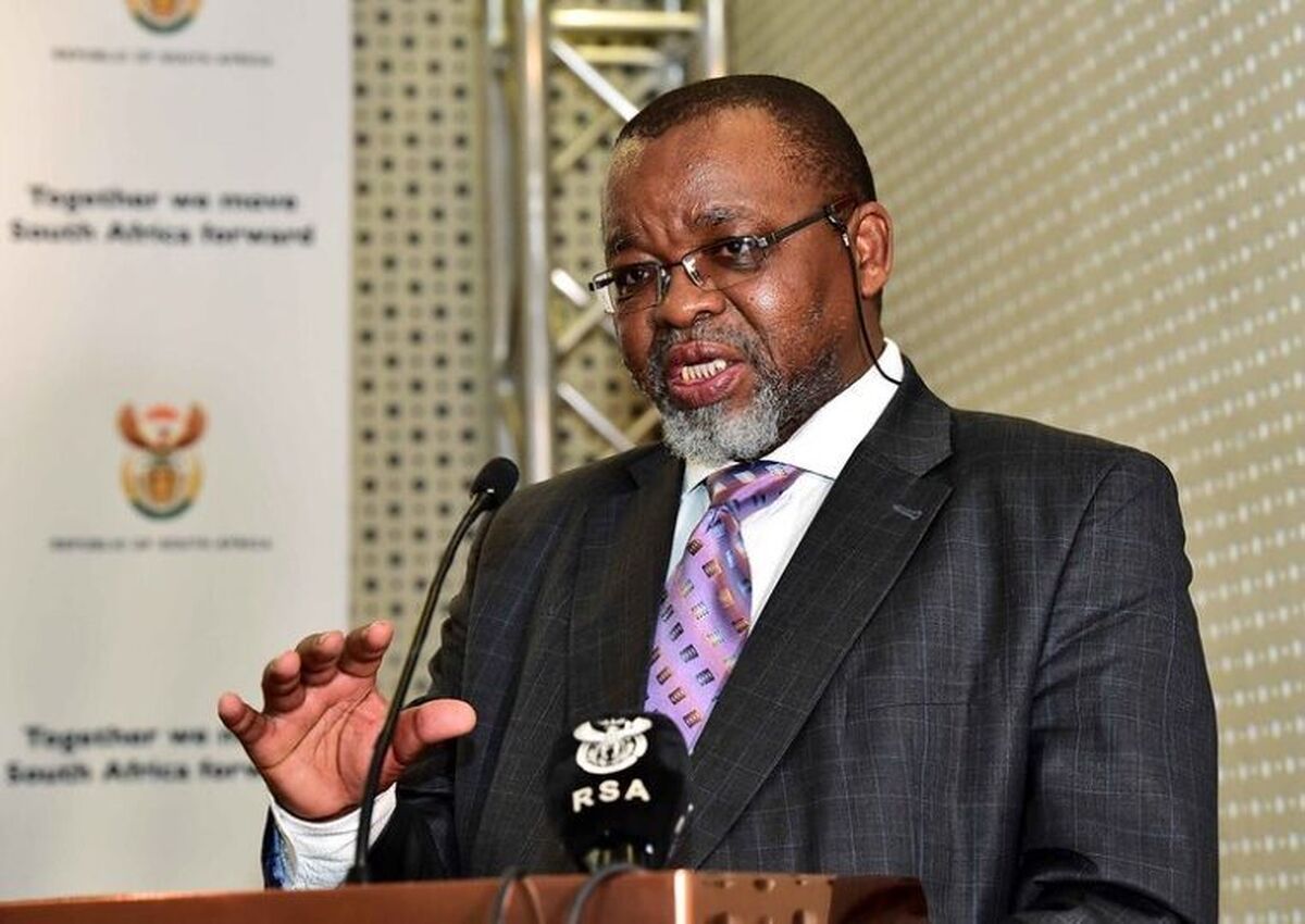 وزیر منابع معدنی دولت پرتوریا: آفریقای جنوبی از همکاری هسته‌ای با ایران استقبال می‌کند