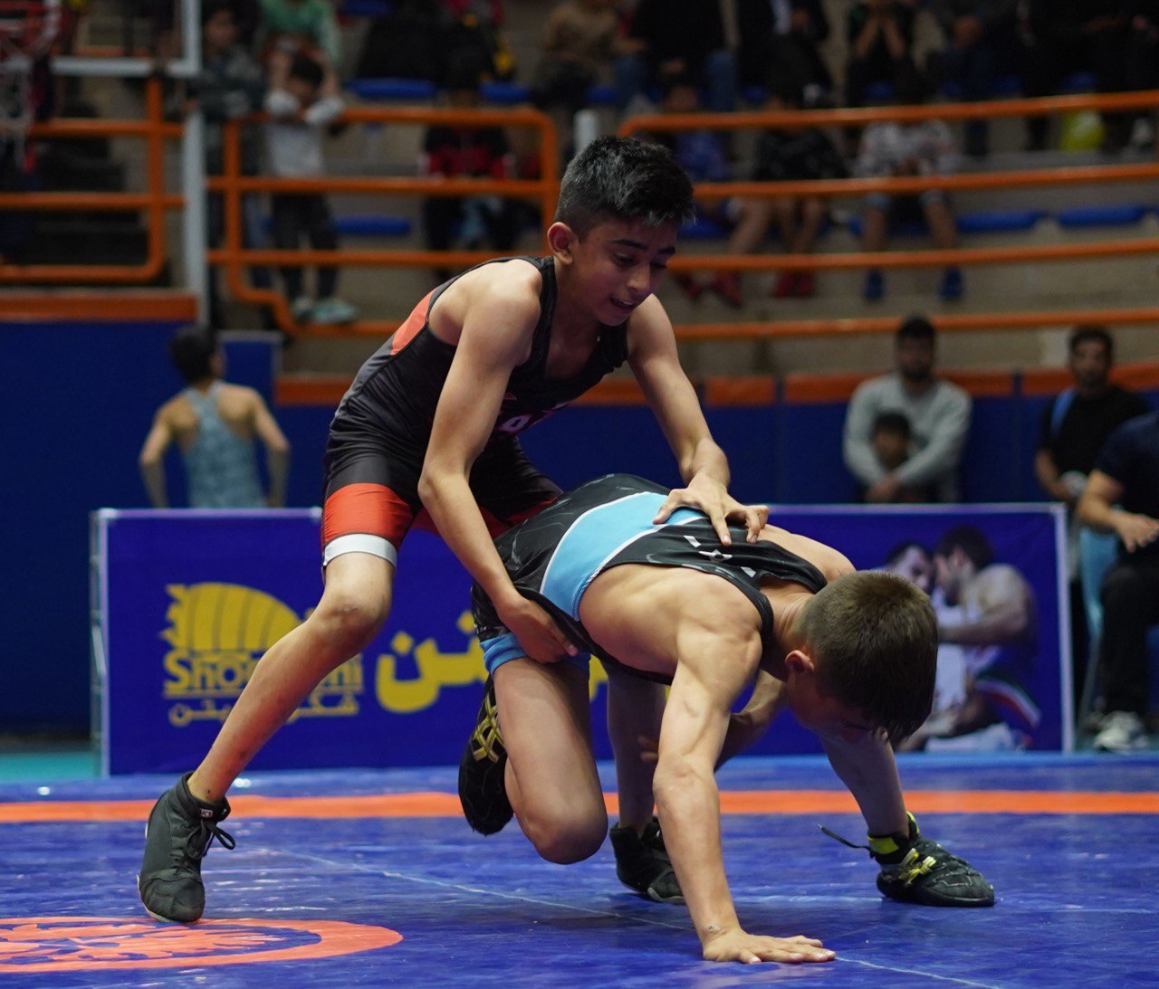 برگزاری جشنواره کشتی فرنگی در اندیمشک؛ 400 نونهال آمدند؛ عبدولی تماشا کرد!