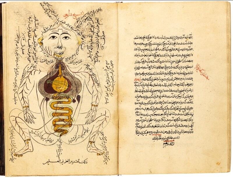 دانشمندی که برای طبیبان ایرانی مینوشت| جرجانی؛ مولف بزرگترین دانشنامه پزشکی به زبان فارسی دانشمندی که برای طبیبان ایرانی مینوشت| جرجانی؛ مولف بزرگترین دانشنامه پزشکی به زبان فارسی