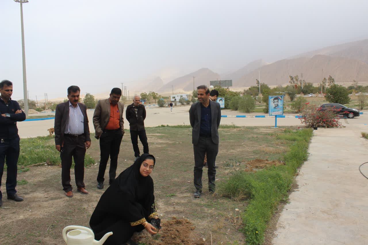 فففففففففف