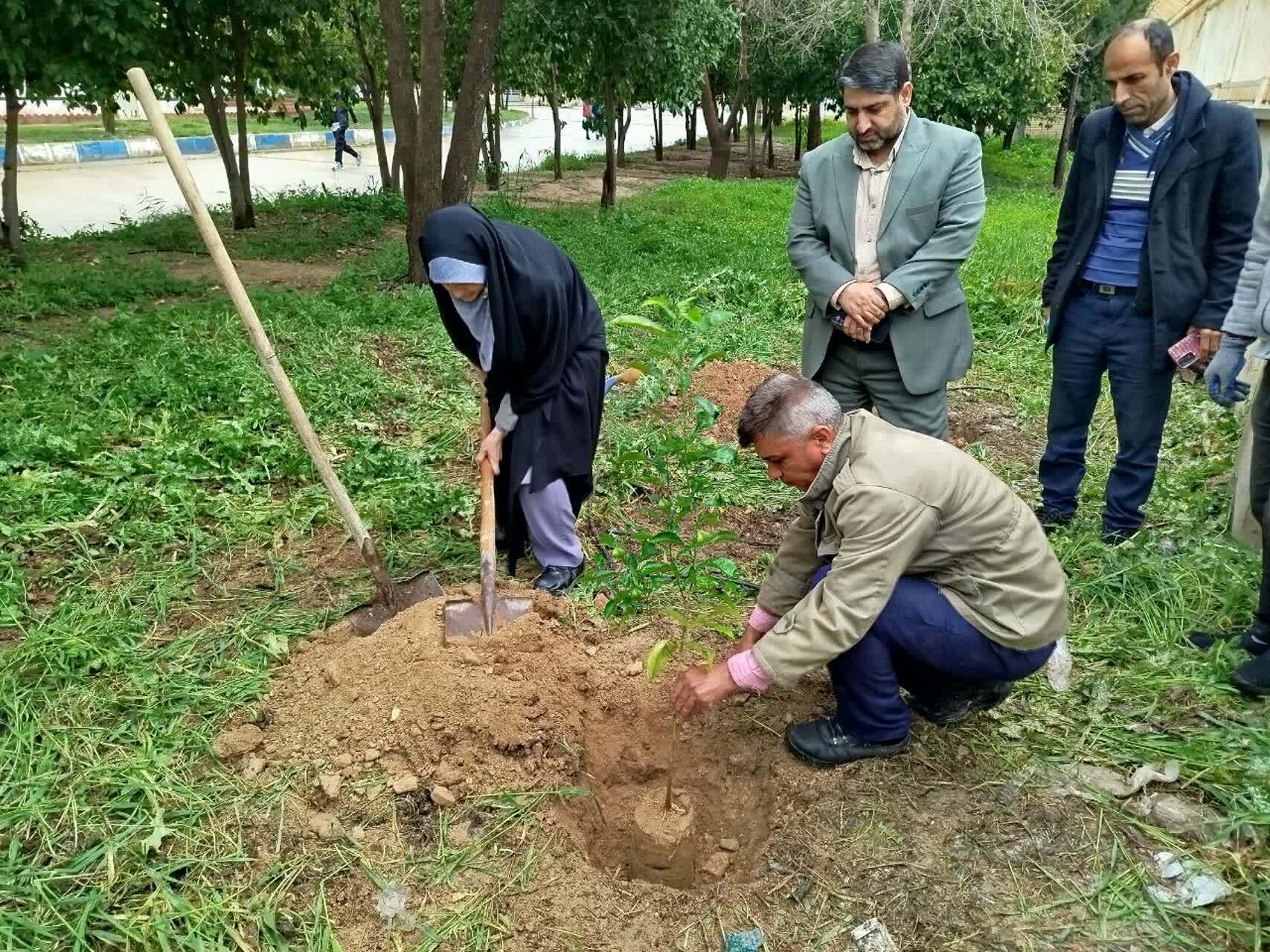 امید در دانشگاه آزاد شکوفا شد؛ نهال‌هایی برای آینده‌ سبزتر