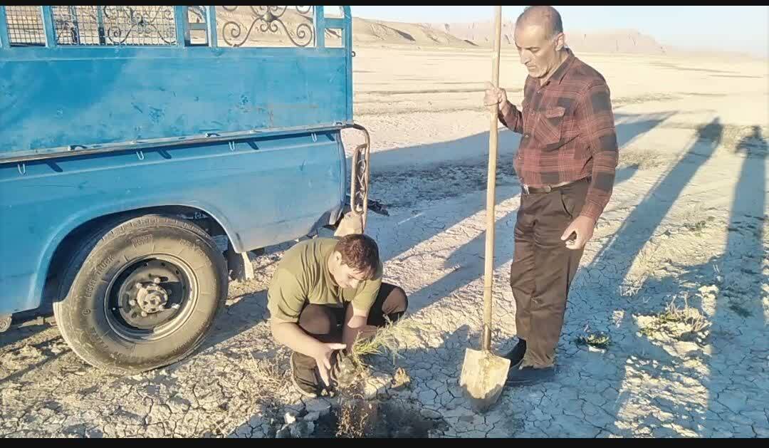 امید در دانشگاه آزاد شکوفا شد؛ نهال‌هایی برای آینده‌ سبزتر