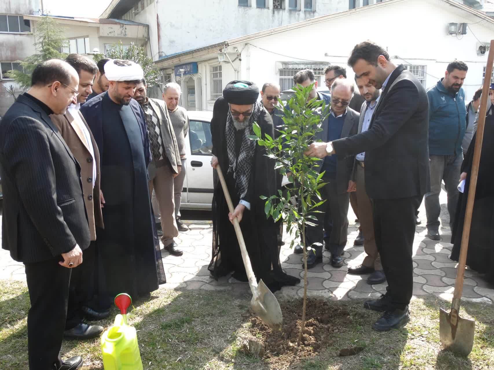 امید در دانشگاه آزاد شکوفا شد؛ نهال‌هایی برای آینده‌ سبزتر