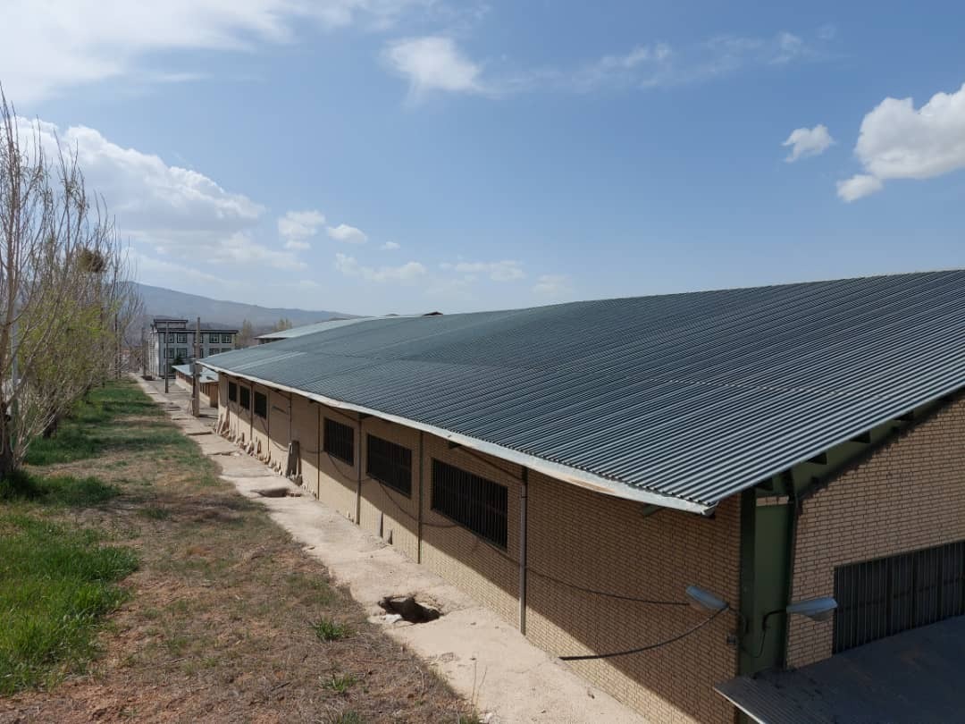 خون تازه در رگ‌های تولید؛ کارگاه‌هایی که پس از 10 سال احیا می‌شوند