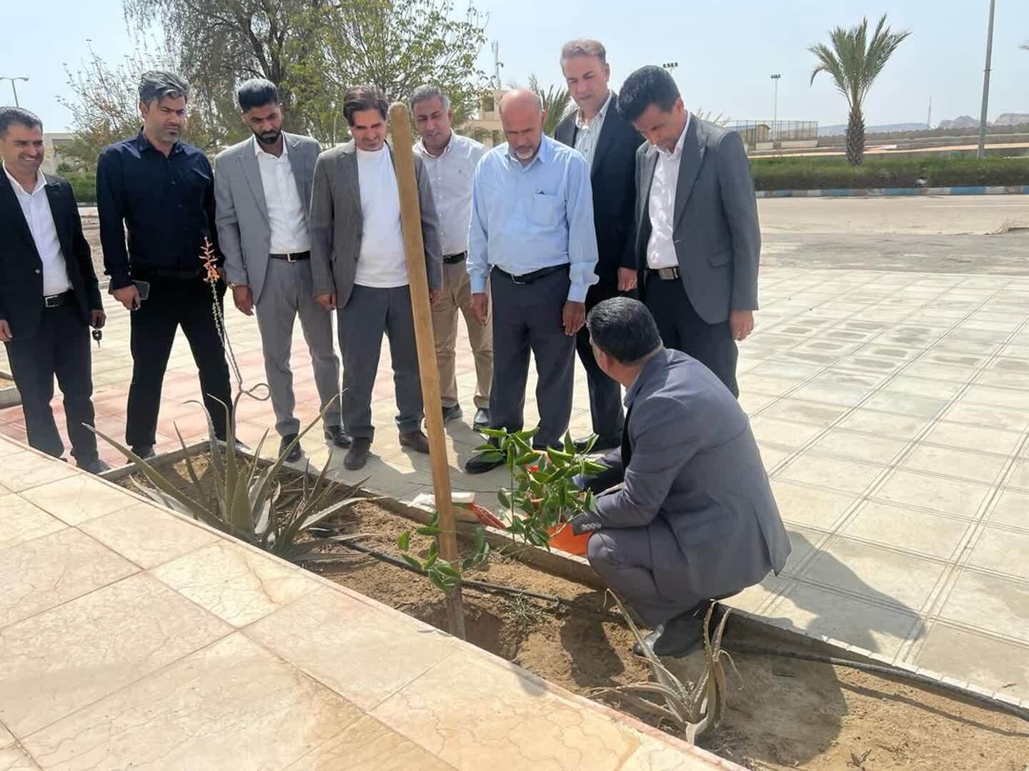 امید در دانشگاه آزاد شکوفا شد؛ نهال‌هایی برای آینده‌ سبزتر