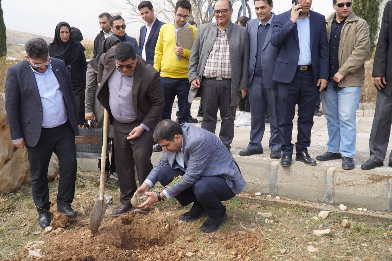 امید در دانشگاه آزاد شکوفا شد؛ نهال‌هایی برای آینده‌ سبزتر