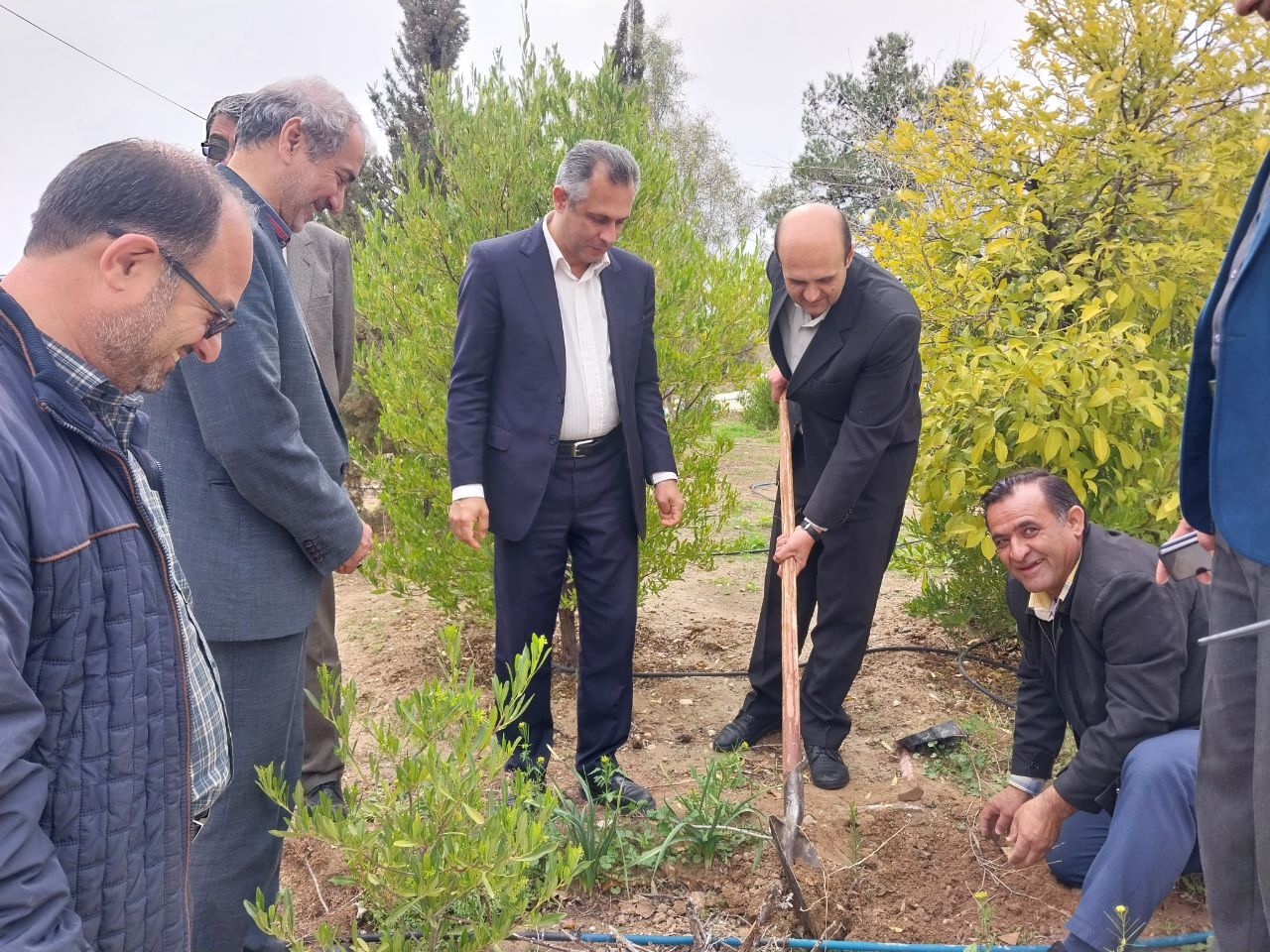 امید در دانشگاه آزاد شکوفا شد؛ نهال‌هایی برای آینده‌ سبزتر