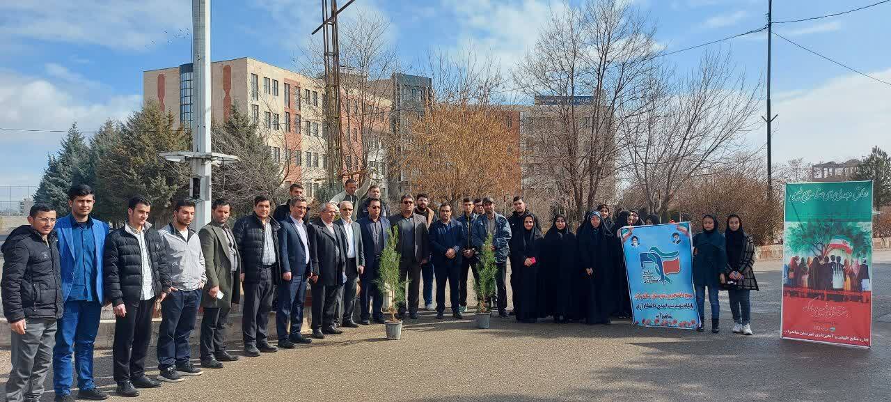 امید در دانشگاه آزاد شکوفا شد؛ نهال‌هایی برای آینده‌ سبزتر
