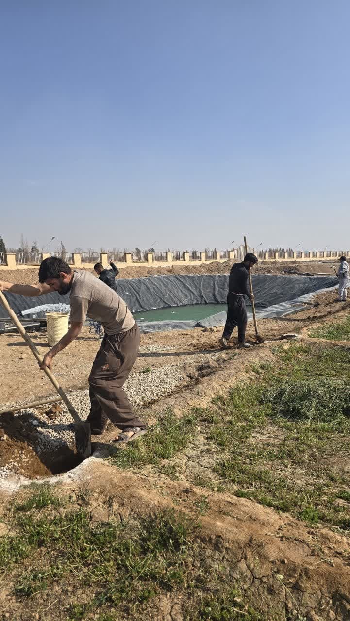 عمادی: برای تولید بذر دانشبنیان در فضایی 15 هزار متر مربعی آمادهایم عمادی: برای تولید بذر دانشبنیان در فضایی 15 هزار متر مربعی آمادهایم