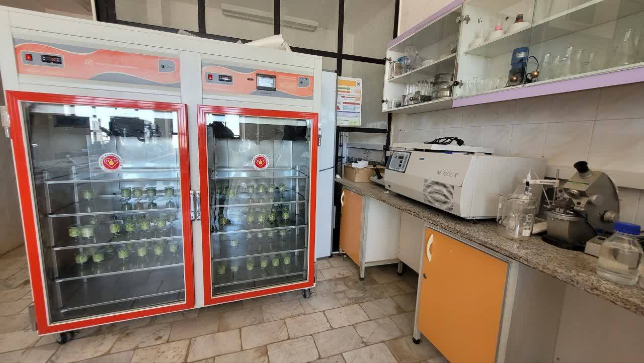 3 پیشنهاد برای بهینهسازی عملیات توزیع در حوزه لجستیک و تجارت الکترونیک 3 پیشنهاد برای بهینهسازی عملیات توزیع در حوزه لجستیک و تجارت الکترونیک