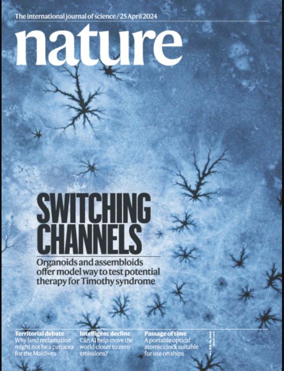 هفته اول مه؛ از سازگاری ماهی‌های کنجکاو با طبیعت تا درهم‌تنیدگی کوانتومی